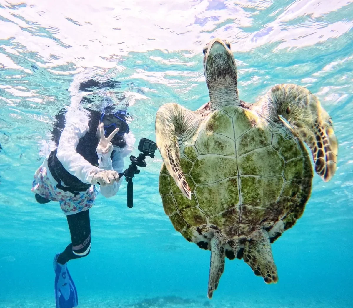 snorkel 1
