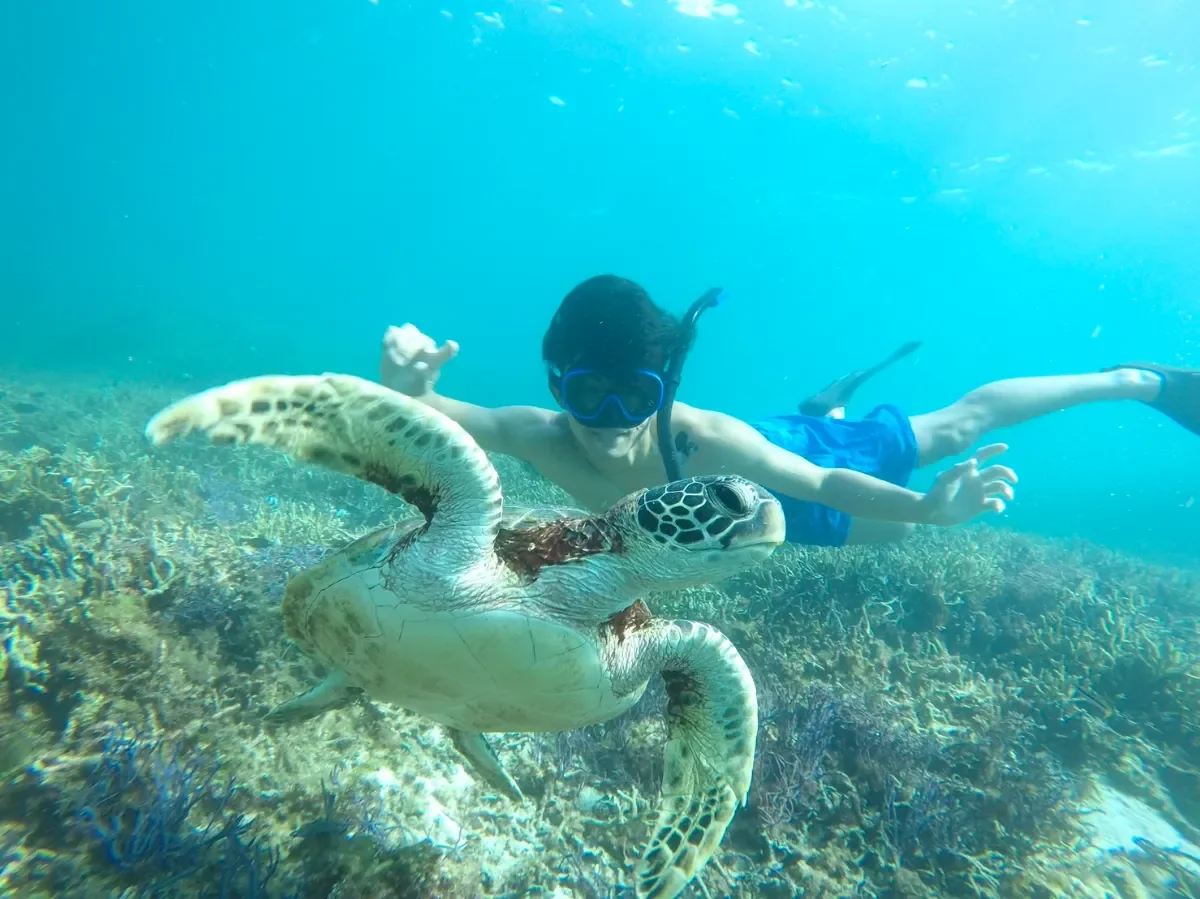 snorkel 2